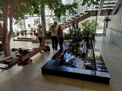 � ���� ������