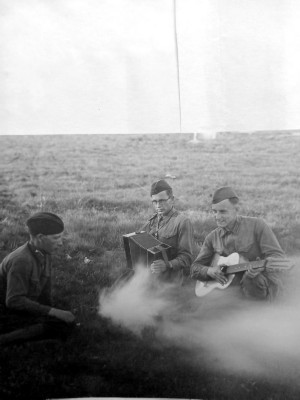 �����������